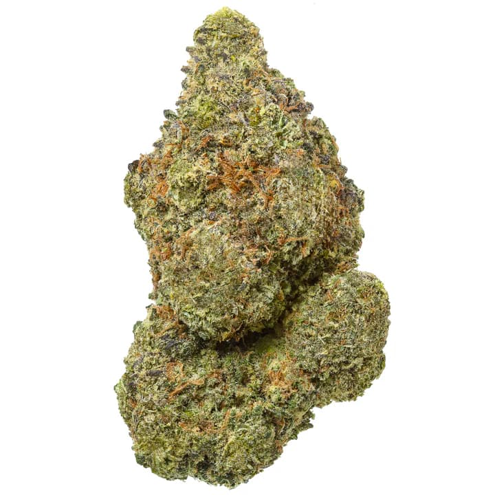 Citrus Slurp > Original Sensible Seeds | Feminized Cannabis   |  Hybrid